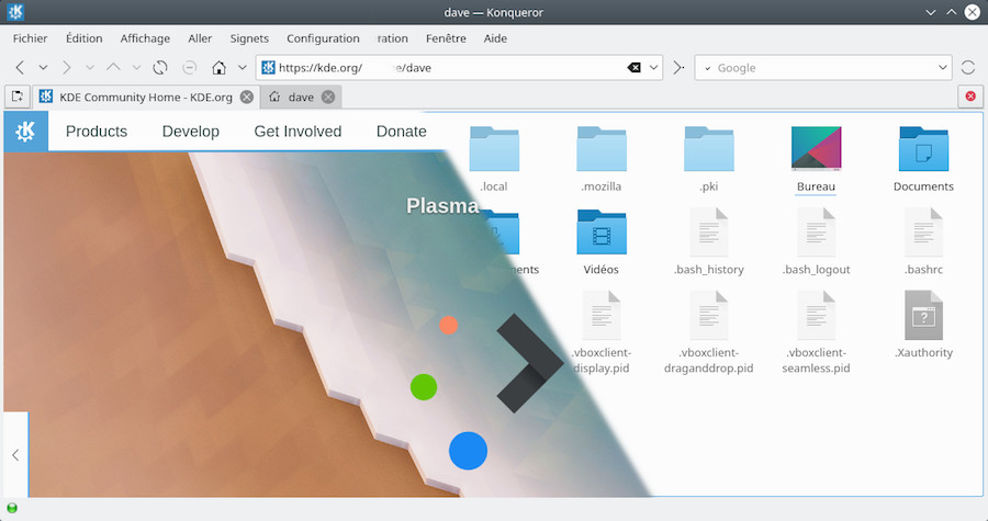 Le navigateur Web/fichiers Konqueror sur KDE